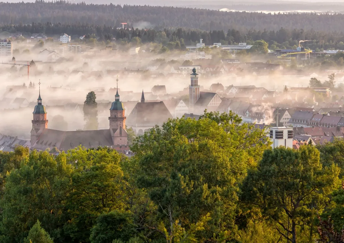 Blick vom Kienberg auf Freudenstadt mit Stadtpanorama, Wald und morgendlichem Nebel
